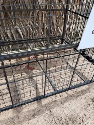 Dog Cage