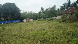 காணி விற்பனைக்கு - Murukandy Kilinochchi