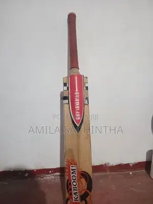 Cricket bat