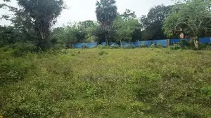 காணி விற்பனைக்கு - Murukandy Kilinochchi