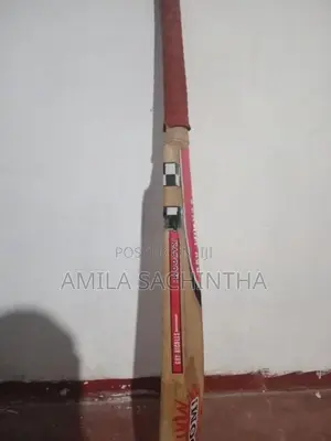 Cricket bat