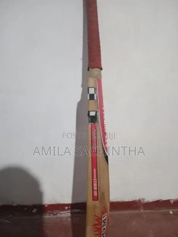 Cricket bat