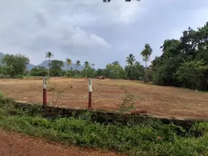 දඹුල්ල මහනගරසභා සීමාවෙන් සින්නක්කර බිම්කොටස් විකිණීමට