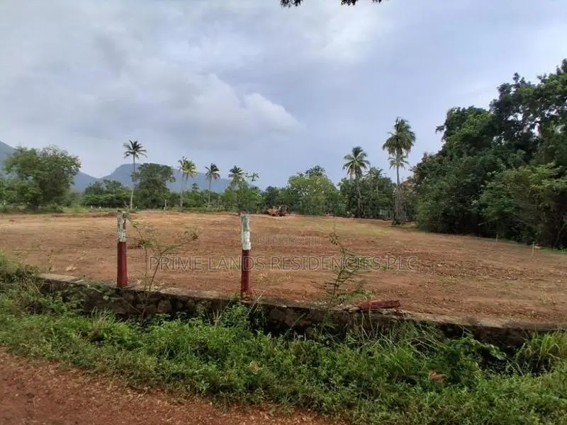 දඹුල්ල මහනගරසභා සීමාවෙන් සින්නක්කර බිම්කොටස් විකිණීමට