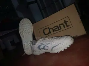 Cricket Shoe
