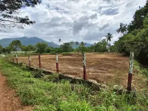 දඹුල්ල මහනගරසභා සීමාවෙන් සින්නක්කර බිම්කොටස් විකිණීමට