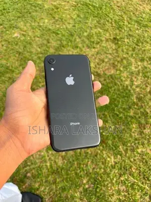 Apple iPhone XR (Used)