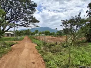 දඹුල්ල මහනගරසභා සීමාවෙන් සින්නක්කර බිම්කොටස් විකිණීමට