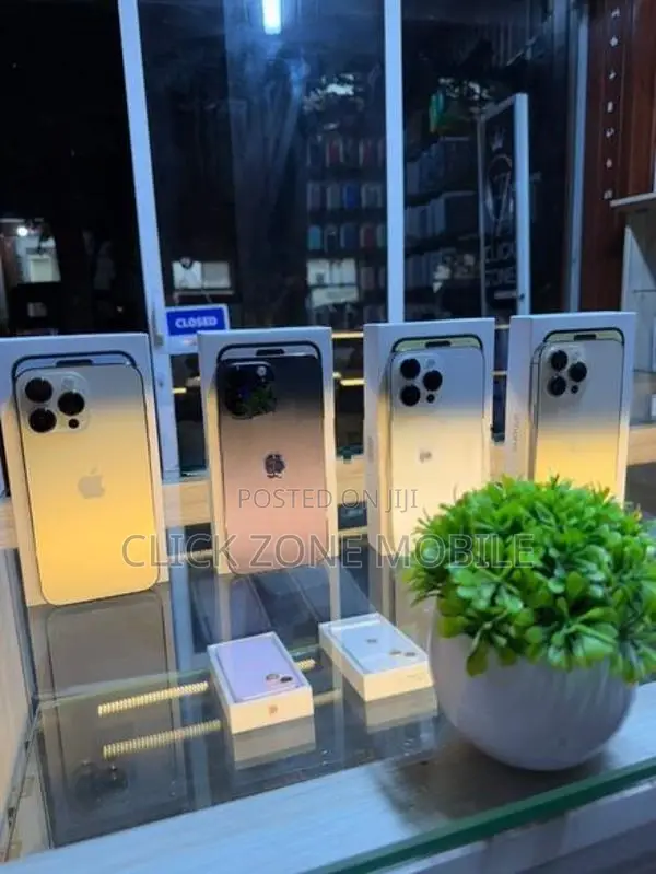 Apple iPhone 14 Pro Max 256GB (Used)