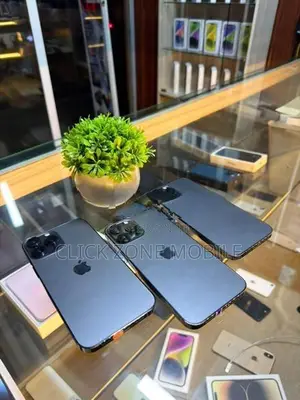 Apple iPhone 13 Pro Max (Used)