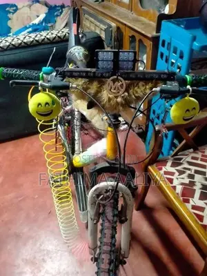 Tomahawk Bicycle
