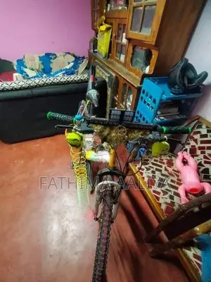 Tomahawk Bicycle