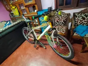 Tomahawk Bicycle