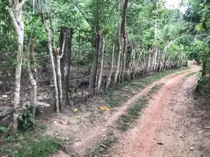 Land for Sale Baddegama