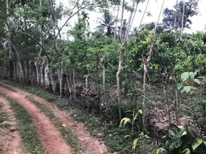 Land for Sale Baddegama