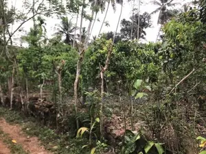 Land for Sale Baddegama