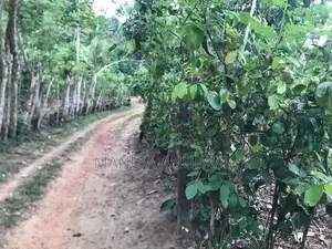 Land for Sale Baddegama