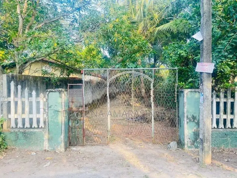 Land for Sale Rajamawatha