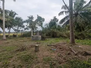 74P Coconut Land for Sale - Wariyapola, Mamunuwa