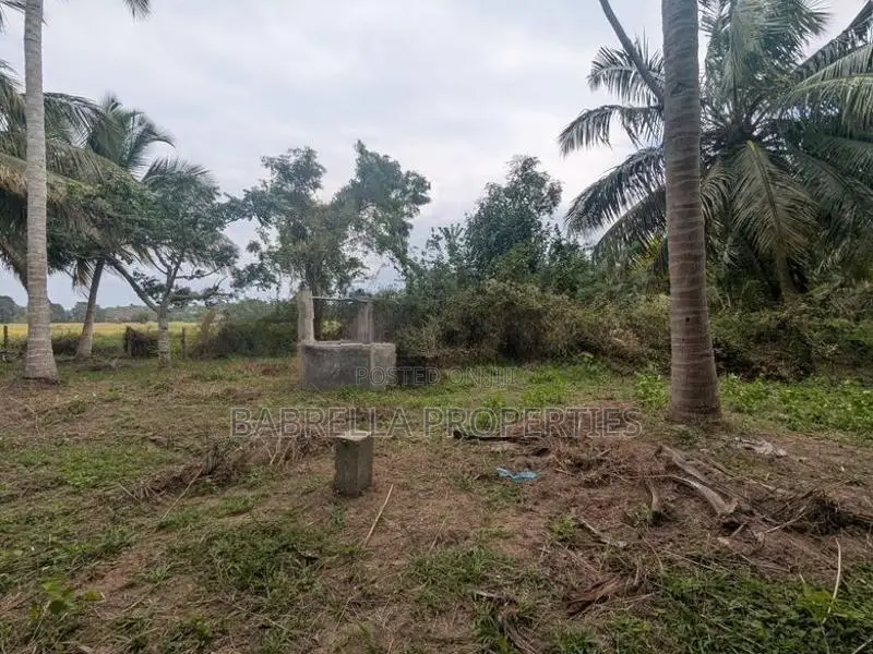 74P Coconut Land for Sale - Wariyapola, Mamunuwa