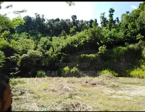 Land for Sale - Galagedara (EM461)