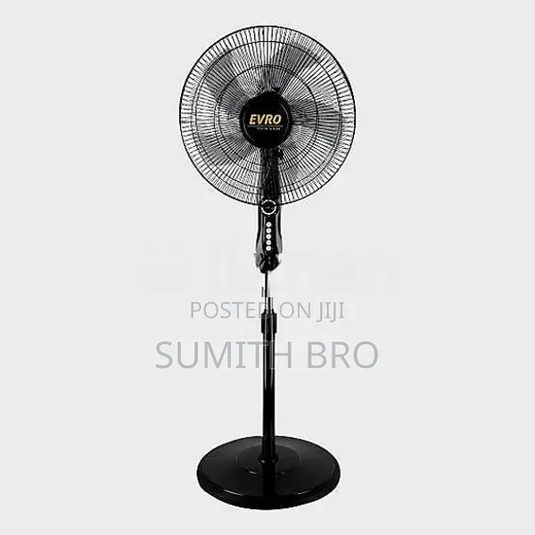 Stand Fan