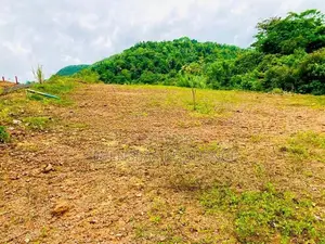 Best Plots of Land in Avissawella City