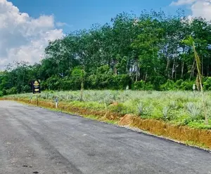 Valuable Land for Sale in Eheliyagoda Town