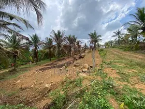 25P Elevated Land at Halpe Road, Close to Padukka