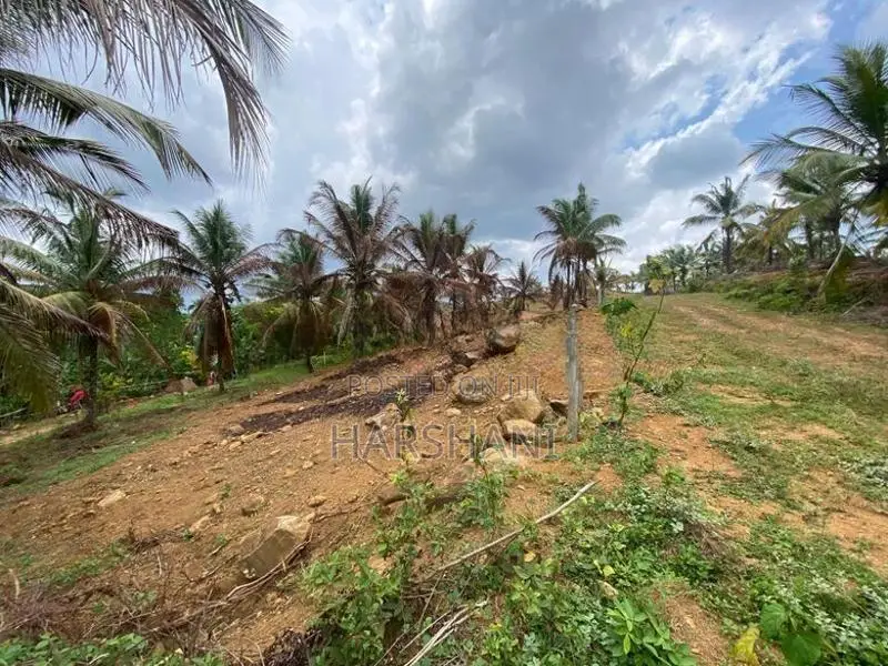 25P Elevated Land at Halpe Road, Close to Padukka