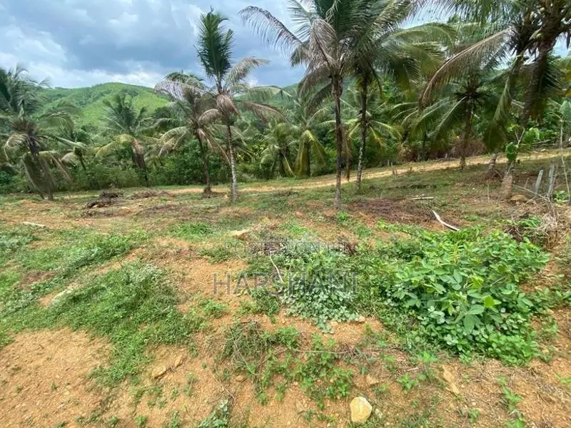 25P Elevated Land at Halpe Road, Close to Padukka