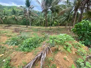 25P Elevated Land at Halpe Road, Close to Padukka