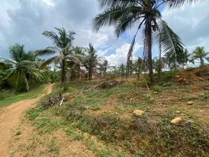 25P Elevated Land at Halpe Road, Close to Padukka