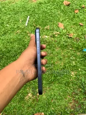 Apple iPhone 17 Pro Max (Used)