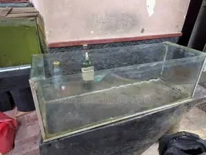 Fish Tank