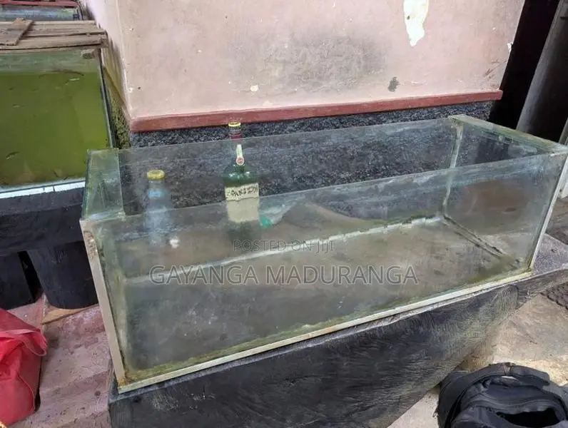 Fish Tank