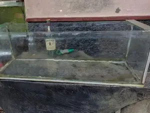Fish Tank
