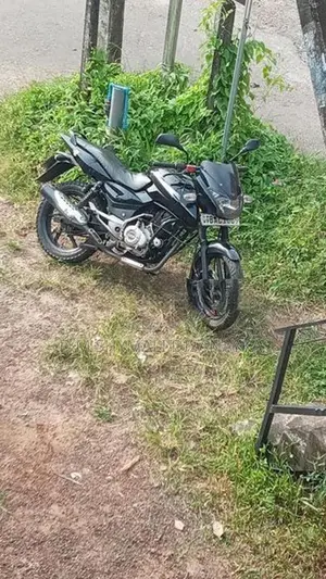 Bajaj Pulsar 150 2013