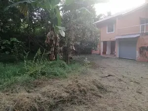 53 Perches - Old Two Storied House For Sale in Madiwala