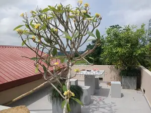 වෙල්‍යායකට මුහුන්ලා පිහිටි අලුතින්ම ඉදිකරන ලද දෙමහල් නිවස විකිනීමට(0i9