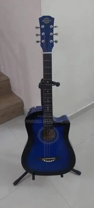Semi Accoustic Box Guitar