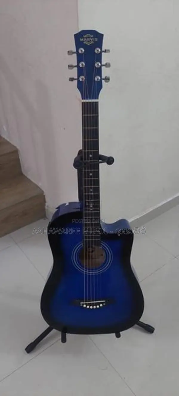 Semi Accoustic Box Guitar