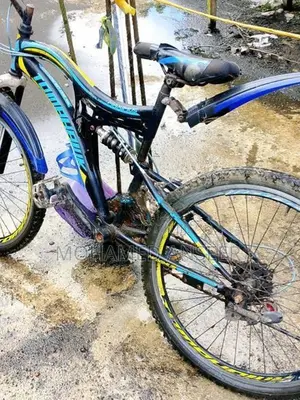 Bicycle