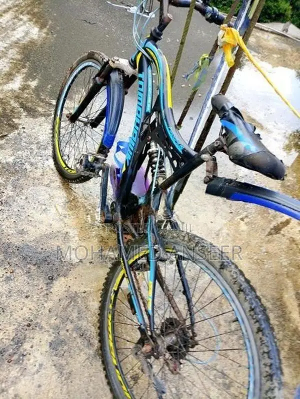 Bicycle