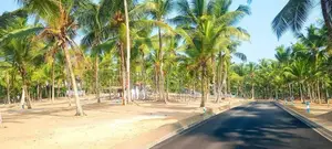 කඩවත වෑබඩ 210 බස් පාරට මීටර් 800යි බිම්කොටස්