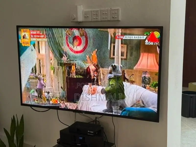 Sony 50” Smart TV