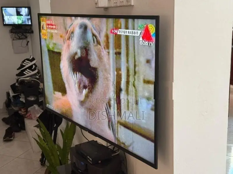 Sony 50” Smart TV