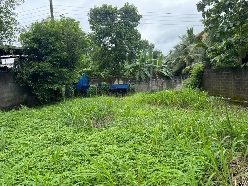 Residential Land for Sale in Piliyandala