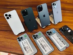 Apple iPhone 13 Pro Max 256GB (Used)