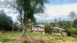 Lands for sale in Gurudeniya